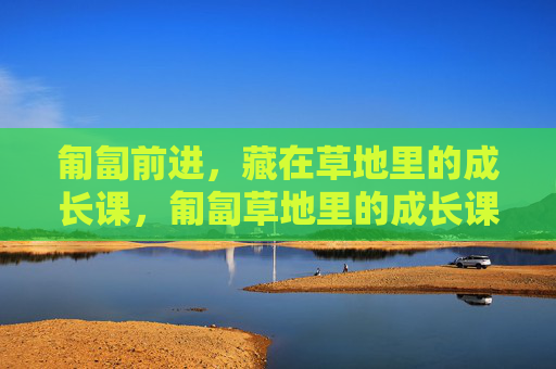 匍匐前进,藏在草地里的成长课,匍匐草地里的成长课 匍匐前进,藏在草地里的成长课,匍匐草地里的成长课