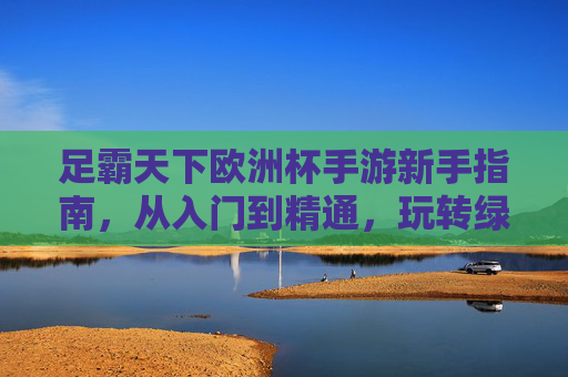 足霸天下欧洲杯手游新手指南,从入门到精通,玩转绿茵赛场!足霸天下欧洲杯手游新手指南,从入门到精通,玩转绿茵赛场 足霸天下欧洲杯手游新手指南,从入门到精通,玩转绿茵赛场!足霸天下欧洲杯手游新手指南,从入门到精通,玩转绿茵赛场