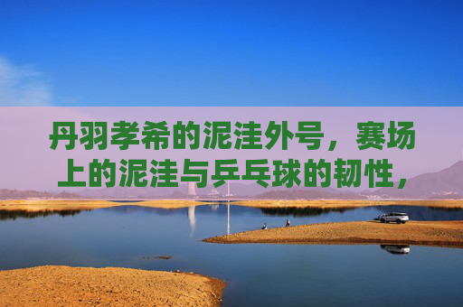 丹羽孝希的泥洼外号,赛场上的泥洼与乒乓球的韧性,丹羽孝希,泥洼外号与赛场韧性 丹羽孝希的泥洼外号,赛场上的泥洼与乒乓球的韧性,丹羽孝希,泥洼外号与赛场韧性