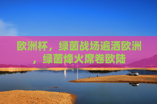 欧洲杯,绿茵战场遍洒欧洲,绿茵烽火席卷欧陆 欧洲杯,绿茵战场遍洒欧洲,绿茵烽火席卷欧陆