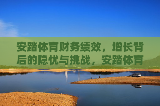 安踏体育财务绩效，增长背后的隐忧与挑战，安踏体育财务绩效，增长背后的隐忧与挑战
