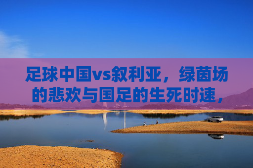 足球中国vs叙利亚,绿茵场的悲欢与国足的生死时速,中叙生死时速,绿茵场的悲欢 足球中国vs叙利亚,绿茵场的悲欢与国足的生死时速,中叙生死时速,绿茵场的悲欢