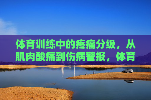 体育训练中的疼痛分级,从肌肉酸痛到伤病警报,体育训练疼痛分级,从肌肉酸痛到伤病警报 体育训练中的疼痛分级,从肌肉酸痛到伤病警报,体育训练疼痛分级,从肌肉酸痛到伤病警报