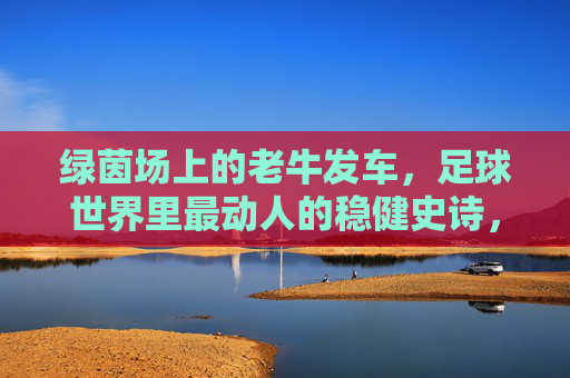 绿茵场上的老牛发车，足球世界里最动人的稳健史诗，绿茵老牛，稳健铸就的足球史诗