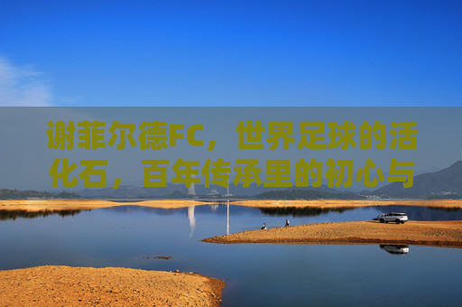 谢菲尔德FC,世界足球的活化石,百年传承里的初心与坚守,谢菲尔德FC,世界足球活化石的百年初心坚守 谢菲尔德FC,世界足球的活化石,百年传承里的初心与坚守,谢菲尔德FC,世界足球活化石的百年初心坚守
