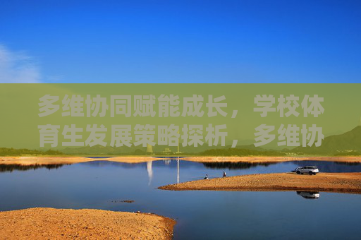 多维协同赋能成长,学校体育生发展策略探析,多维协同赋能,学校体育生发展策略探析 多维协同赋能成长,学校体育生发展策略探析,多维协同赋能,学校体育生发展策略探析