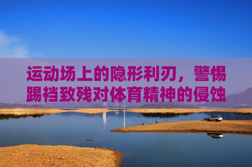 运动场上的隐形利刃,警惕踢裆致残对体育精神的侵蚀,赛场隐形利刃,踢裆致残侵蚀体育精神 运动场上的隐形利刃,警惕踢裆致残对体育精神的侵蚀,赛场隐形利刃,踢裆致残侵蚀体育精神
