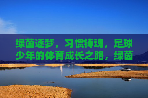 绿茵逐梦，习惯铸魂，足球少年的体育成长之路，绿茵逐梦，习惯铸魂，足球少年的体育成长之路