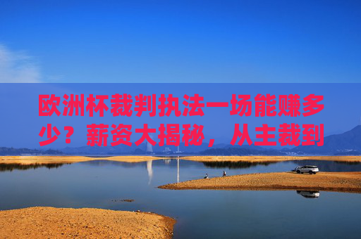 欧洲杯裁判执法一场能赚多少?薪资大揭秘,从主裁到VAR,报酬差距有多大?欧洲杯裁判执法薪资大揭秘,主裁到VAR报酬差距有多大? 欧洲杯裁判执法一场能赚多少?薪资大揭秘,从主裁到VAR,报酬差距有多大?欧洲杯裁判执法薪资大揭秘,主裁到VAR报酬差距有多大?