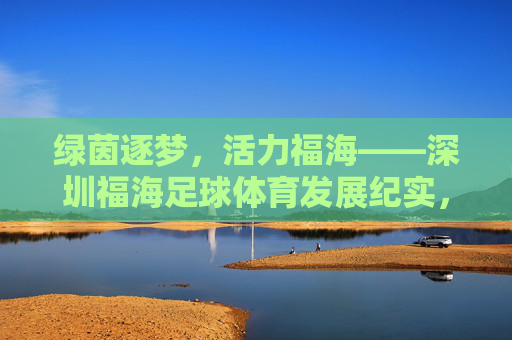 绿茵逐梦,活力福海——深圳福海足球体育发展纪实,绿茵逐梦,活力福海 绿茵逐梦,活力福海——深圳福海足球体育发展纪实,绿茵逐梦,活力福海