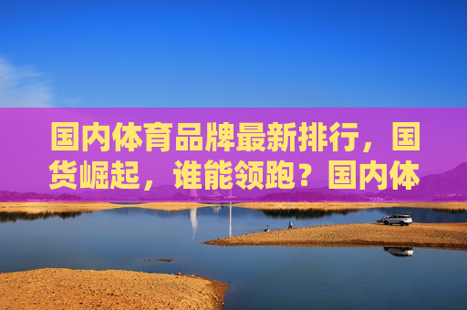 国内体育品牌最新排行,国货崛起,谁能领跑?国内体育品牌新排行,国货崛起谁领跑? 国内体育品牌最新排行,国货崛起,谁能领跑?国内体育品牌新排行,国货崛起谁领跑?