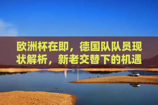 欧洲杯在即，德国队队员现状解析，新老交替下的机遇与挑战，欧洲杯在即，德国队新老交替下的现状、机遇与挑战