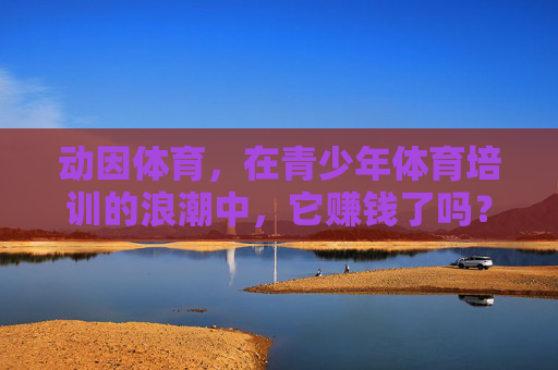 动因体育，在青少年体育培训的浪潮中，它赚钱了吗？动因体育在青少年体育培训浪潮中赚钱了吗？