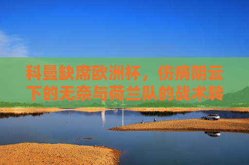 科曼缺席欧洲杯，伤病阴云下的无奈与荷兰队的战术转向，科曼缺席欧洲杯，伤病阴云下的荷兰队战术转向