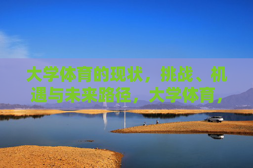 大学体育的现状，挑战、机遇与未来路径，大学体育，现状、挑战、机遇与未来路径