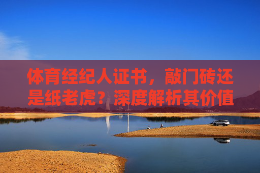 体育经纪人证书，敲门砖还是纸老虎？深度解析其价值与真相，体育经纪人证书，敲门砖还是纸老虎？深度解析其价值与真相