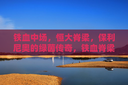 铁血中场,恒大脊梁,保利尼奥的绿茵传奇,铁血脊梁,保利尼奥的恒大绿茵传奇 铁血中场,恒大脊梁,保利尼奥的绿茵传奇,铁血脊梁,保利尼奥的恒大绿茵传奇