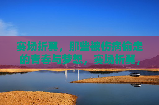 赛场折翼,那些被伤病偷走的青春与梦想,赛场折翼,伤病偷走的青春与梦想 赛场折翼,那些被伤病偷走的青春与梦想,赛场折翼,伤病偷走的青春与梦想
