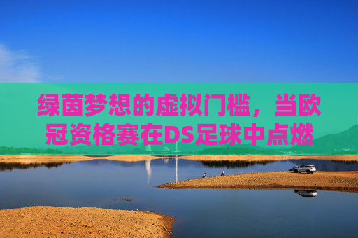 绿茵梦想的虚拟门槛，当欧冠资格赛在DS足球中点燃战火，欧冠资格赛DS足球点燃战火，绿茵梦想跨越虚拟门槛