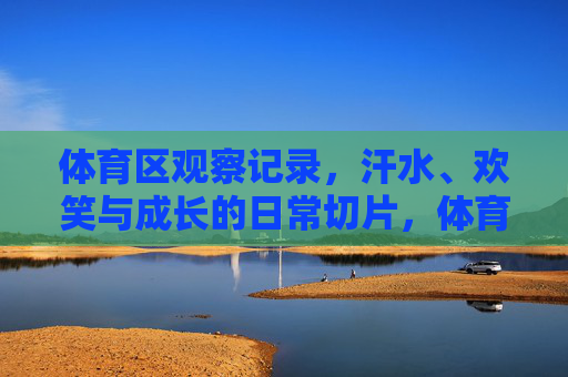 体育区观察记录,汗水、欢笑与成长的日常切片,体育区日常切片,汗水、欢笑与成长 体育区观察记录,汗水、欢笑与成长的日常切片,体育区日常切片,汗水、欢笑与成长