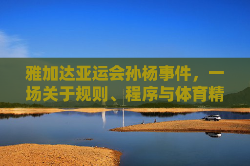 雅加达亚运会孙杨事件,一场关于规则、程序与体育精神的争议风暴,雅加达亚运会孙杨事件,规则、程序与体育精神的争议风暴 雅加达亚运会孙杨事件,一场关于规则、程序与体育精神的争议风暴,雅加达亚运会孙杨事件,规则、程序与体育精神的争议风暴