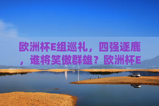 欧洲杯E组巡礼,四强逐鹿,谁将笑傲群雄?欧洲杯E组四强逐鹿,谁将笑傲群雄? 欧洲杯E组巡礼,四强逐鹿,谁将笑傲群雄?欧洲杯E组四强逐鹿,谁将笑傲群雄?