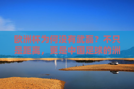 欧洲杯为何没有武磊?不只是距离,更是中国足球的洲际门槛,武磊缺席欧洲杯,中国足球的洲际门槛之困 欧洲杯为何没有武磊?不只是距离,更是中国足球的洲际门槛,武磊缺席欧洲杯,中国足球的洲际门槛之困
