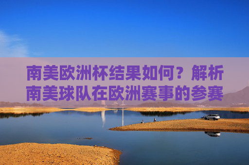 南美欧洲杯结果如何？解析南美球队在欧洲赛事的参赛逻辑与误解背后，南美球队在欧洲赛事，结果、逻辑与误解解析
