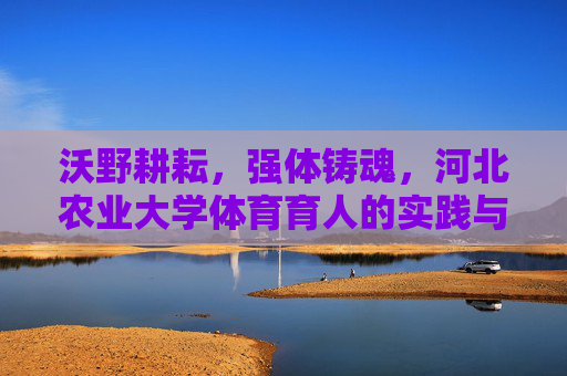 沃野耕耘,强体铸魂,河北农业大学体育育人的实践与传承,沃野耕耘强体铸魂,河北农业大学体育育人实践传承 沃野耕耘,强体铸魂,河北农业大学体育育人的实践与传承,沃野耕耘强体铸魂,河北农业大学体育育人实践传承