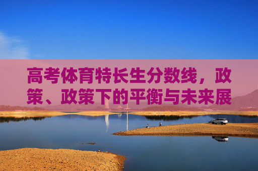 高考体育特长生分数线，政策、政策下的平衡与未来展望，高考体育特长生分数线，政策平衡与未来展望