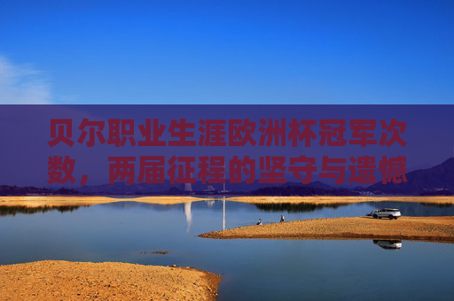 贝尔职业生涯欧洲杯冠军次数，两届征程的坚守与遗憾，贝尔两届欧洲杯征程，坚守与冠军遗憾