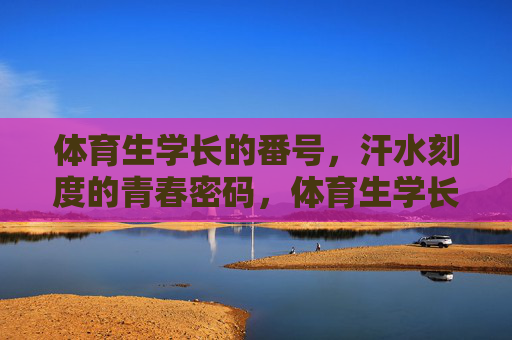 体育生学长的番号，汗水刻度的青春密码，体育生学长的番号，汗水刻度的青春密码