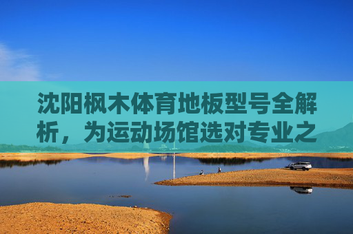 沈阳枫木体育地板型号全解析，为运动场馆选对专业之选，沈阳枫木体育地板型号全解析，运动场馆专业之选