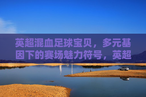 英超混血足球宝贝,多元基因下的赛场魅力符号,英超混血足球宝贝,多元基因的赛场魅力符号 英超混血足球宝贝,多元基因下的赛场魅力符号,英超混血足球宝贝,多元基因的赛场魅力符号