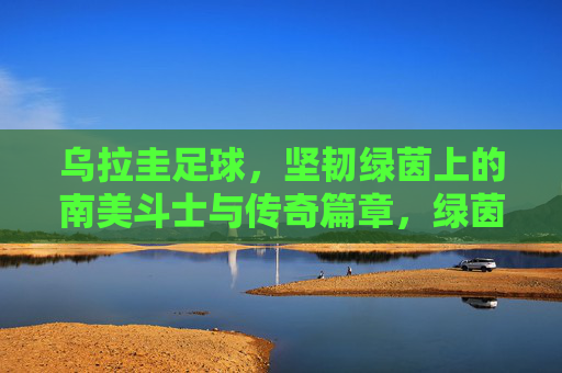 乌拉圭足球，坚韧绿茵上的南美斗士与传奇篇章，绿茵斗士，乌拉圭足球的坚韧传奇