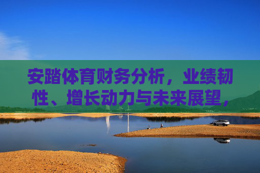 安踏体育财务分析，业绩韧性、增长动力与未来展望，安踏体育财务分析，业绩韧性、增长动力与未来展望