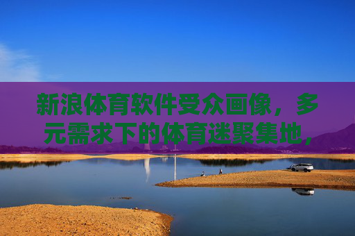新浪体育软件受众画像，多元需求下的体育迷聚集地，新浪体育，多元需求下的体育迷聚集地