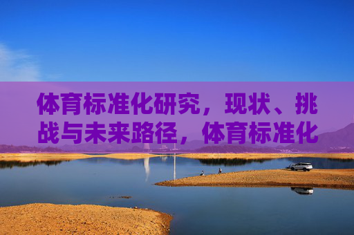 体育标准化研究，现状、挑战与未来路径，体育标准化，现状、挑战与未来路径研究