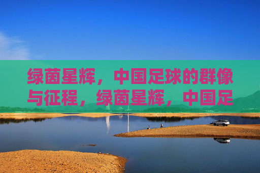 绿茵星辉,中国足球的群像与征程,绿茵星辉,中国足球的群像征程 绿茵星辉,中国足球的群像与征程,绿茵星辉,中国足球的群像征程