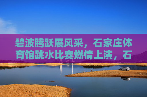 碧波腾跃展风采,石家庄体育馆跳水比赛燃情上演,石家庄跳水大赛,碧波腾跃燃情上演 碧波腾跃展风采,石家庄体育馆跳水比赛燃情上演,石家庄跳水大赛,碧波腾跃燃情上演