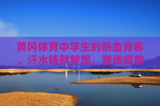 黄冈体育中学生的热血青春,汗水铸就梦想,赛场绽放光芒,黄冈体育中学生的热血赛场,青春逐梦,汗水铸光 黄冈体育中学生的热血青春,汗水铸就梦想,赛场绽放光芒,黄冈体育中学生的热血赛场,青春逐梦,汗水铸光