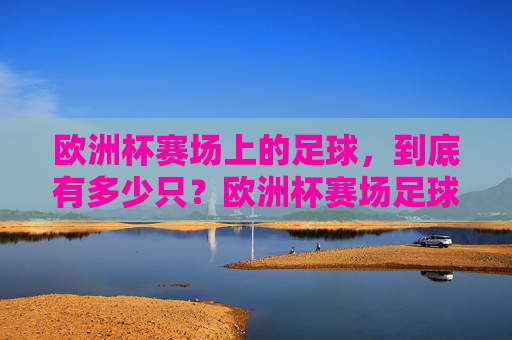 欧洲杯赛场上的足球,到底有多少只?欧洲杯赛场足球有多少只? 欧洲杯赛场上的足球,到底有多少只?欧洲杯赛场足球有多少只?