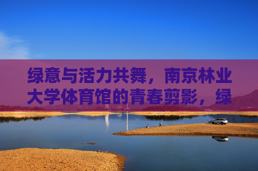绿意与活力共舞，南京林业大学体育馆的青春剪影，绿意活力共舞，南京林业大学体育馆青春剪影