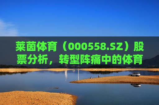 莱茵体育（000558.SZ）股票分析，转型阵痛中的体育产业探索者，莱茵体育（000558.SZ），转型阵痛中的体育产业探索者分析