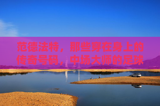 范德法特,那些穿在身上的传奇号码,中场大师的足球印记,范德法特,传奇号码与中场大师的足球印记 范德法特,那些穿在身上的传奇号码,中场大师的足球印记,范德法特,传奇号码与中场大师的足球印记