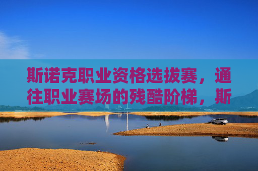 斯诺克职业资格选拔赛,通往职业赛场的残酷阶梯,斯诺克职业资格选拔赛,通往职业赛场的残酷阶梯 斯诺克职业资格选拔赛,通往职业赛场的残酷阶梯,斯诺克职业资格选拔赛,通往职业赛场的残酷阶梯