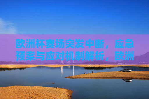 欧洲杯赛场突发中断，应急预案与应对机制解析，欧洲杯赛场突发中断，应急预案与应对机制解析