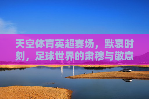 天空体育英超赛场,默哀时刻,足球世界的肃穆与敬意,英超赛场默哀,肃穆与敬意 天空体育英超赛场,默哀时刻,足球世界的肃穆与敬意,英超赛场默哀,肃穆与敬意