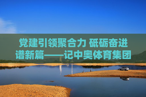 党建引领聚合力 砥砺奋进谱新篇——记中奥体育集团党委书记,党建引领聚合力 砥砺奋进谱新篇 党建引领聚合力 砥砺奋进谱新篇——记中奥体育集团党委书记,党建引领聚合力 砥砺奋进谱新篇