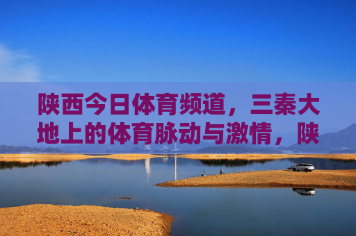 陕西今日体育频道，三秦大地上的体育脉动与激情，陕西今日体育频道，三秦大地的体育脉动与激情